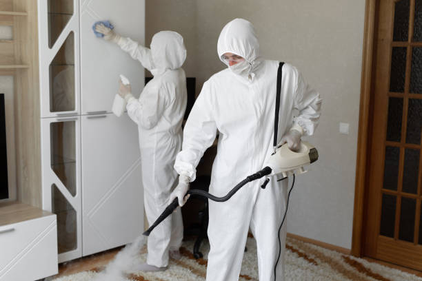 Best Mold Removal Company Near Me  in Barrington, IL